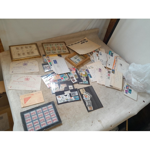 Lot 53        
