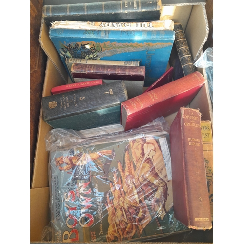 32 - Box of books : Wild Nature , Boys Own