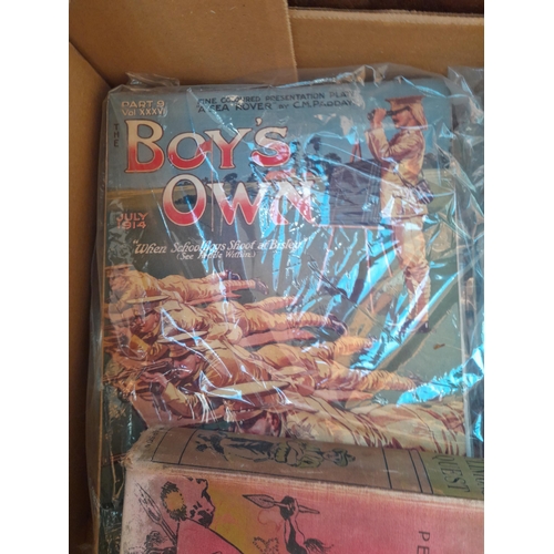 32 - Box of books : Wild Nature , Boys Own
