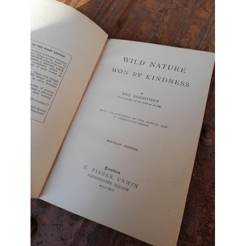 32 - Box of books : Wild Nature , Boys Own