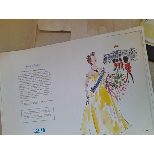 48 - Box of oddments : tin sign modern, resin ornament, car related manuals, prints, African walking stic... 