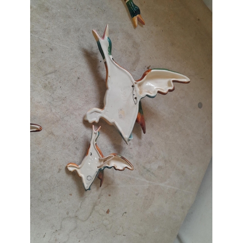 89 - Set of five Beswick flying ducks all in good order