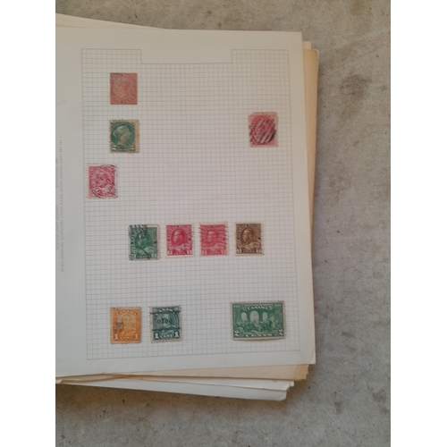 251 - Stamps : a world collection on pages, note stamps stuck down, GB surface printed all stuck down, 4 d... 