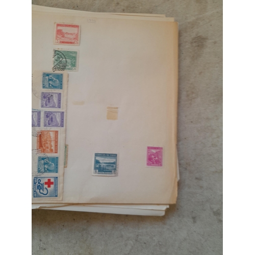 251 - Stamps : a world collection on pages, note stamps stuck down, GB surface printed all stuck down, 4 d... 
