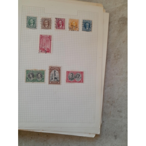 251 - Stamps : a world collection on pages, note stamps stuck down, GB surface printed all stuck down, 4 d... 