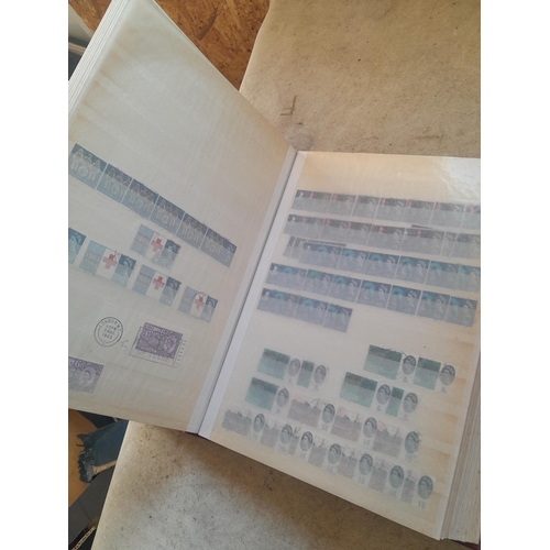 252 - Stamps : QEII in a stock book with duplication