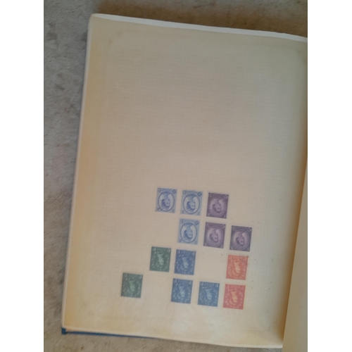 254 - Stamps : GB mint and used GVI - QEII pre decimal, GVI high values noted, strong in QEII , good defin... 