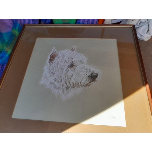 292 - Radios pictures for re purposing tapestries, cross stich, one on stand, watercolour by J Neltley