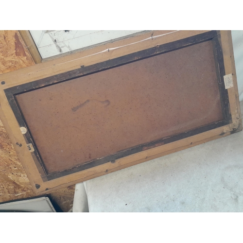 310 - Interesting 19th century  Continental school, Mythical Birds and Flowers  oil on canvas and later ba... 