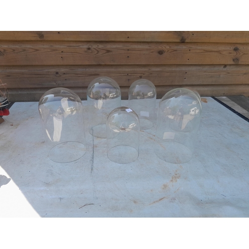 Lot 8         