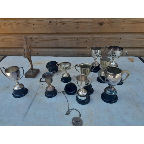 Lot 9         