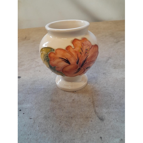 Lot 6         