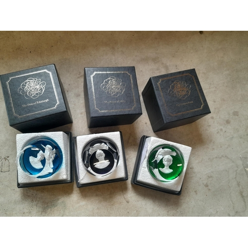 Lot 49        