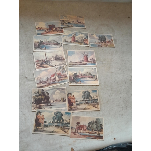 Lot 52        