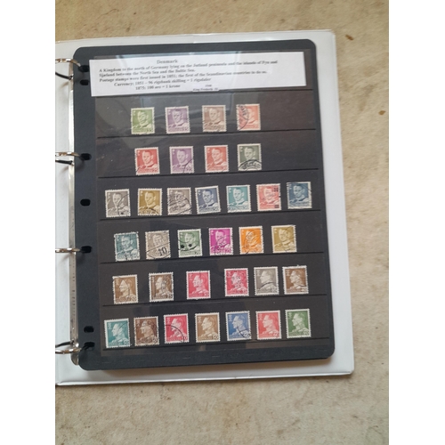 182 - Stamps of Scandinavia : Denmark, Norway Sweden on Hagner stock sheets, Estonia, Latvia and Lithuania... 