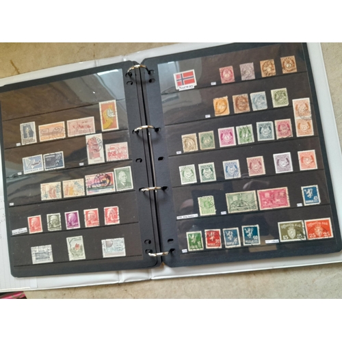 182 - Stamps of Scandinavia : Denmark, Norway Sweden on Hagner stock sheets, Estonia, Latvia and Lithuania... 