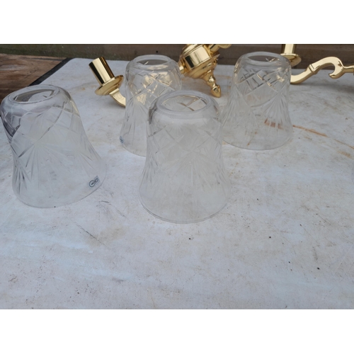 197 - Pair of cut glass and brass centre light fitments