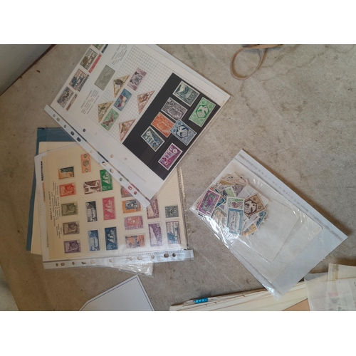 217 - A4 envelope of  stamps of French Colonies, unused and used some loose and some on pages, only a samp... 