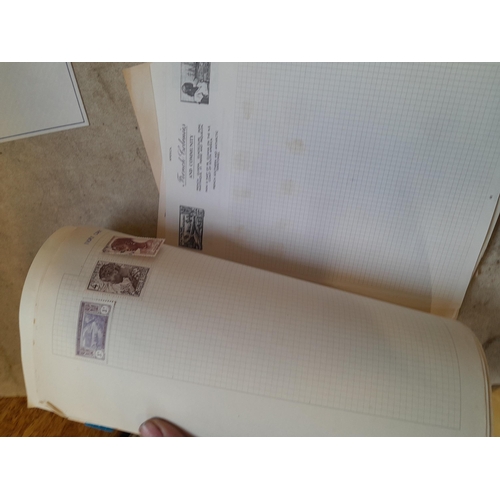 217 - A4 envelope of  stamps of French Colonies, unused and used some loose and some on pages, only a samp... 