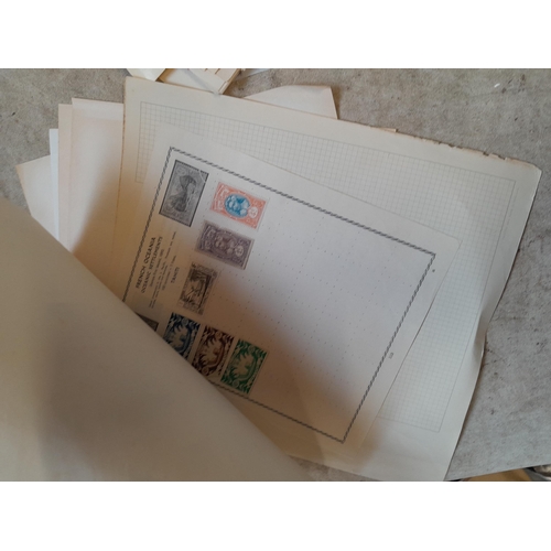 217 - A4 envelope of  stamps of French Colonies, unused and used some loose and some on pages, only a samp... 