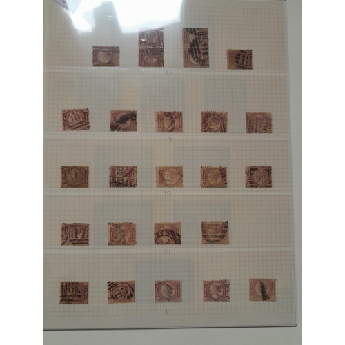 Lot 243       