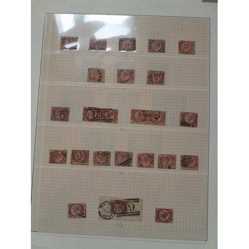 Lot 244       