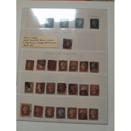 Lot 247       
