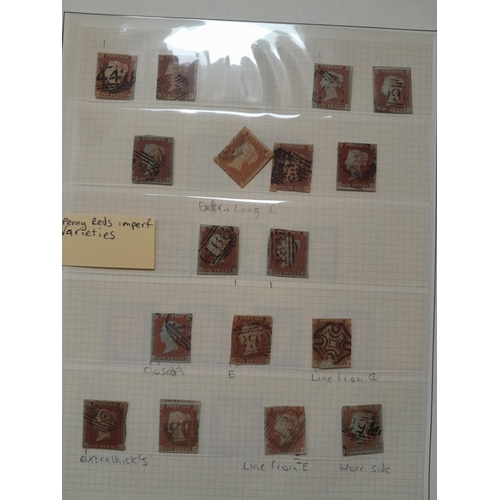 Lot 248       