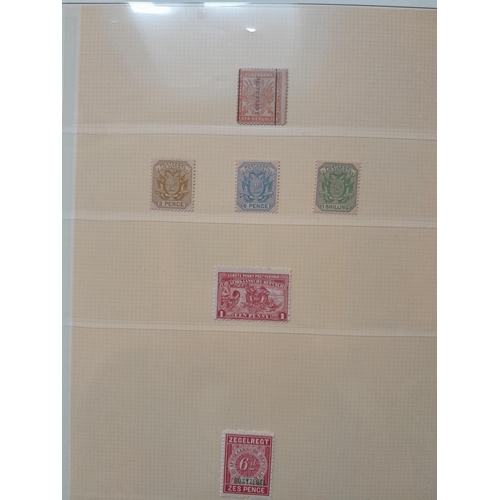 Lot 251       