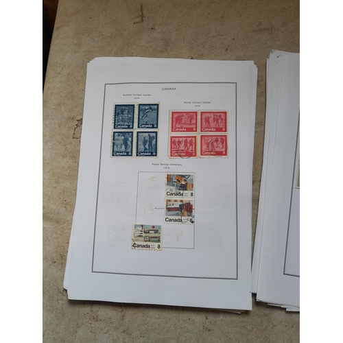 Lot 254       