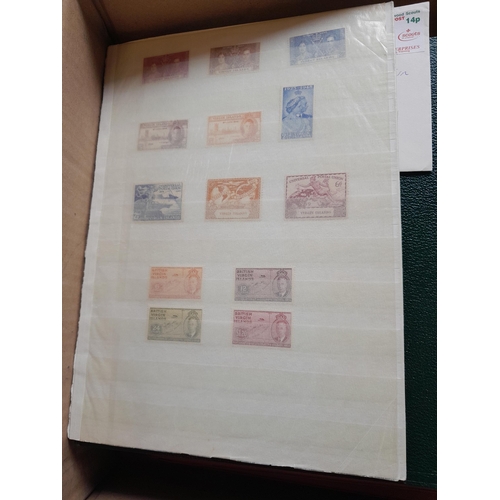 Lot 255       