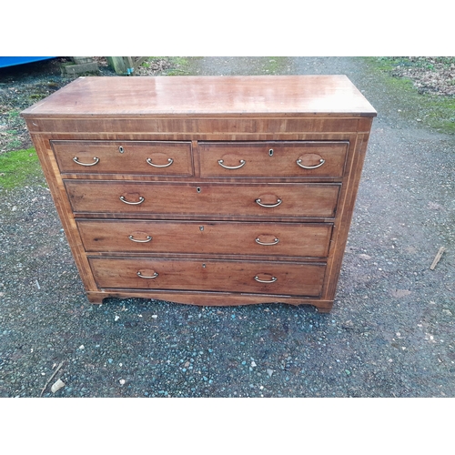 Lot 261       