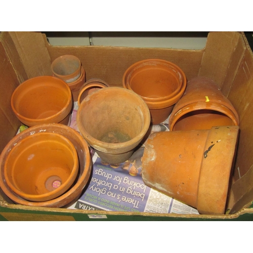 35 - Box of Terracotta Plant Pots.