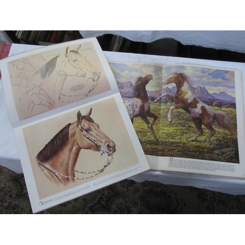 249 - Two Magazines on How To Paint Horses and Other Animals.