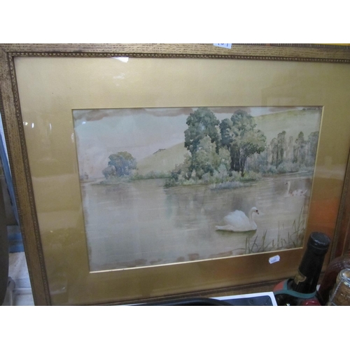 459 - Framed & Glazed Watercolour Swans on Lake.