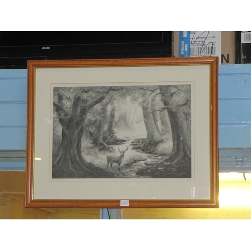 465 - Framed Black & White Print of Stag in Woodland by J Smith.