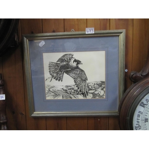 473 - Kestrel Pen Sketch Framed Picture.