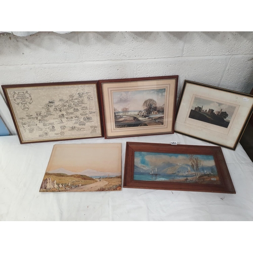 Lot 482       