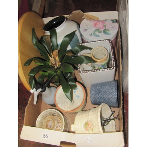 85 - Box of Jardinieres, Vases & Potted Fern etc.