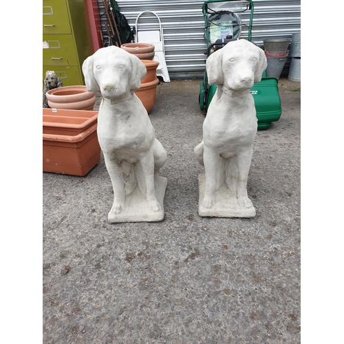 694 - Pair of Large Concrete Garden Weimaraner Dog Ornaments.