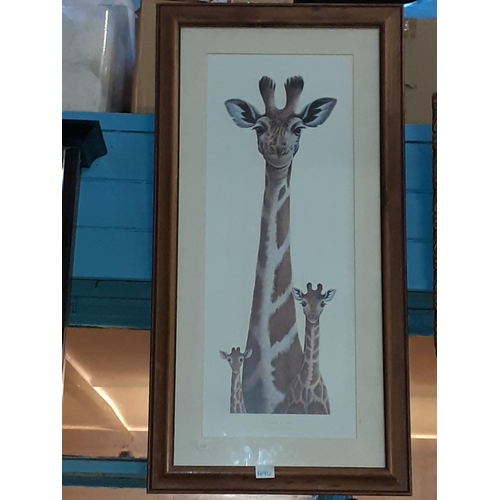 496 - Framed Giraffe Print 