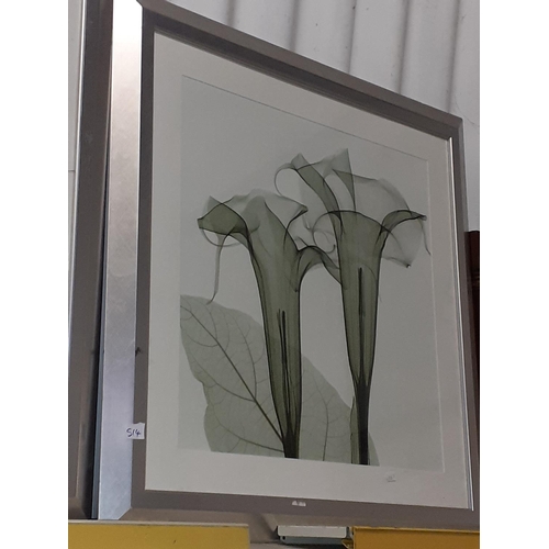 514 - Two Modern Art Floral Prints in Large Square Silver Edged Frames.