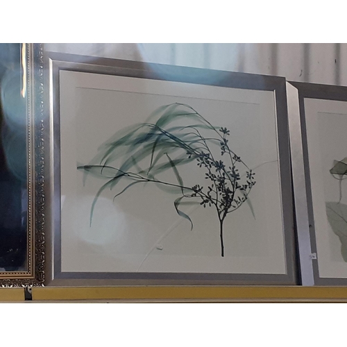 514 - Two Modern Art Floral Prints in Large Square Silver Edged Frames.