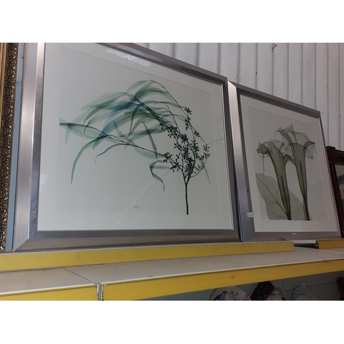 514 - Two Modern Art Floral Prints in Large Square Silver Edged Frames.