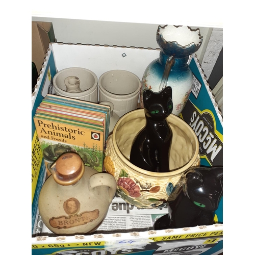 64 - Box to Include Pair of Black Cat Ornaments, Vintage Ladybird Books, Earthenware Jar and Indian Tree ... 