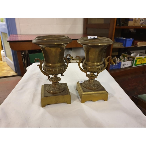 218 - Pair of Brass Urns on Plinths.