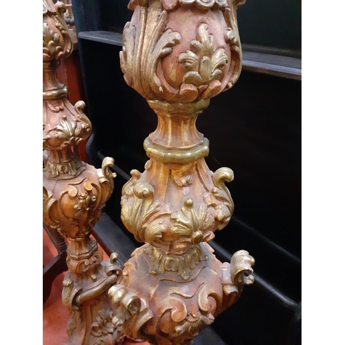 595 - Pair of 18th Century Style Italian Giltwood Large Candle Holders - each just over 5ft tall.