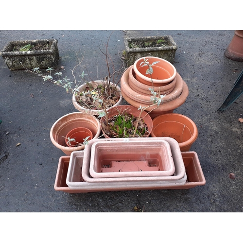 632 - Large Quantity of Plastic Garden Pots & Planters.