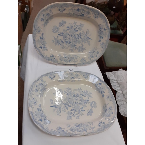 364 - Pair of Blue & White Asiatic Pheasant Meat Plates.