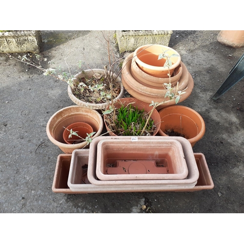 642 - Large Quantity of Plastic Garden Pots, Troughs &  Planters.